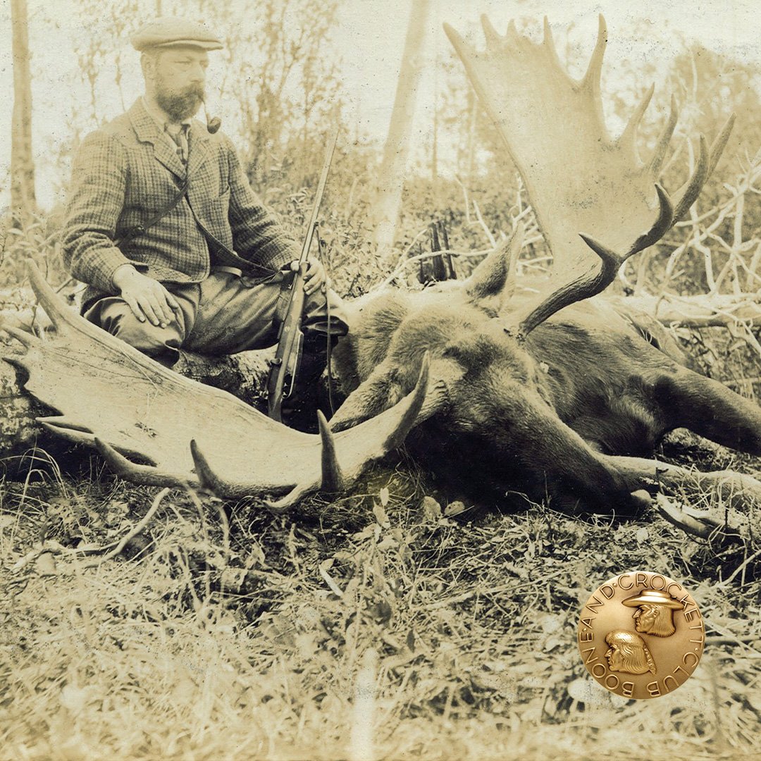 Major C.E. Radclyffe moose