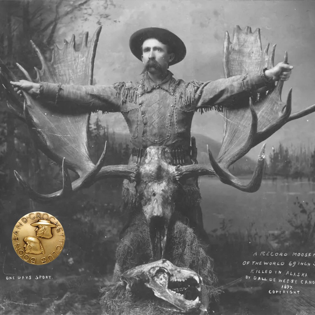 Dall DeWeese moose