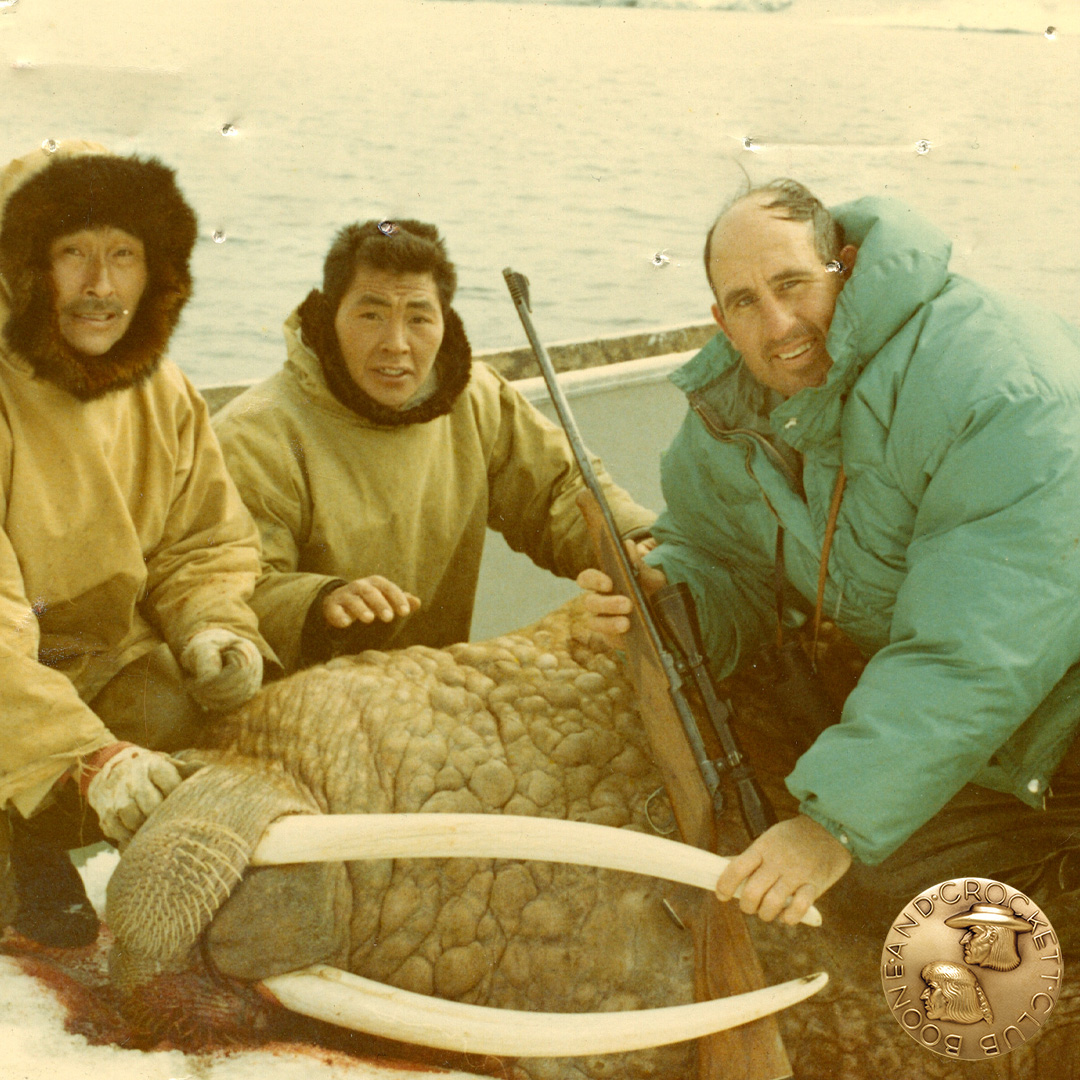 Pacific Walrus 