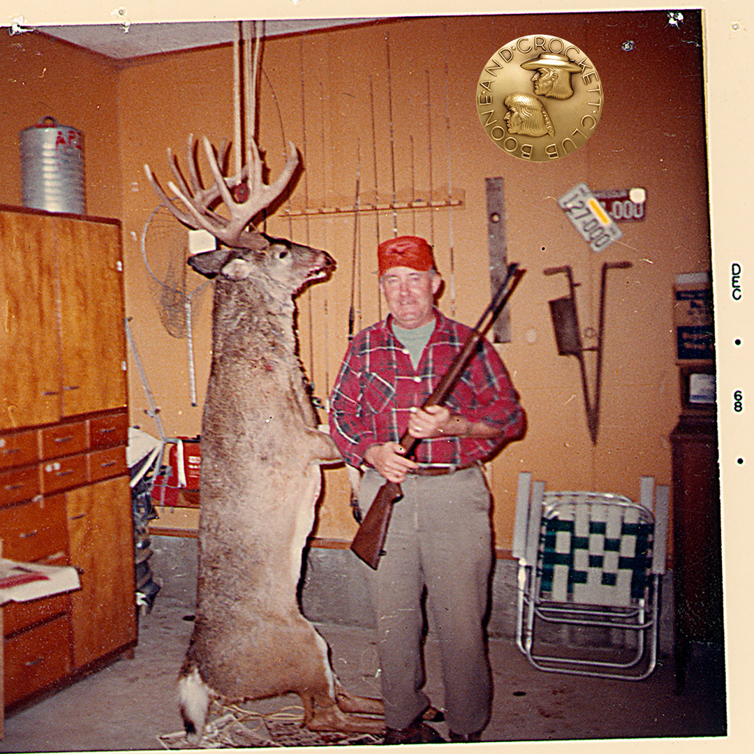 Whitetail