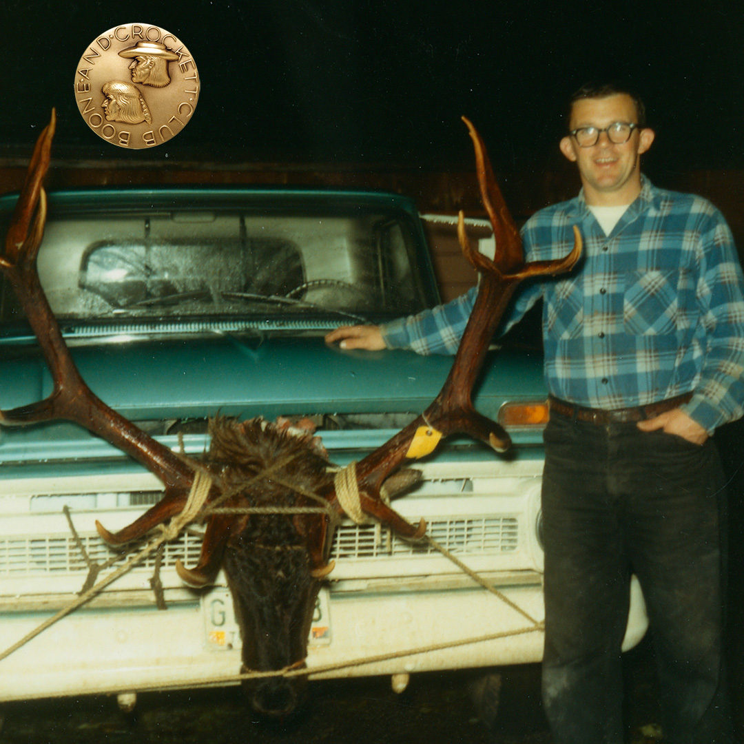 Roosevelt's Elk