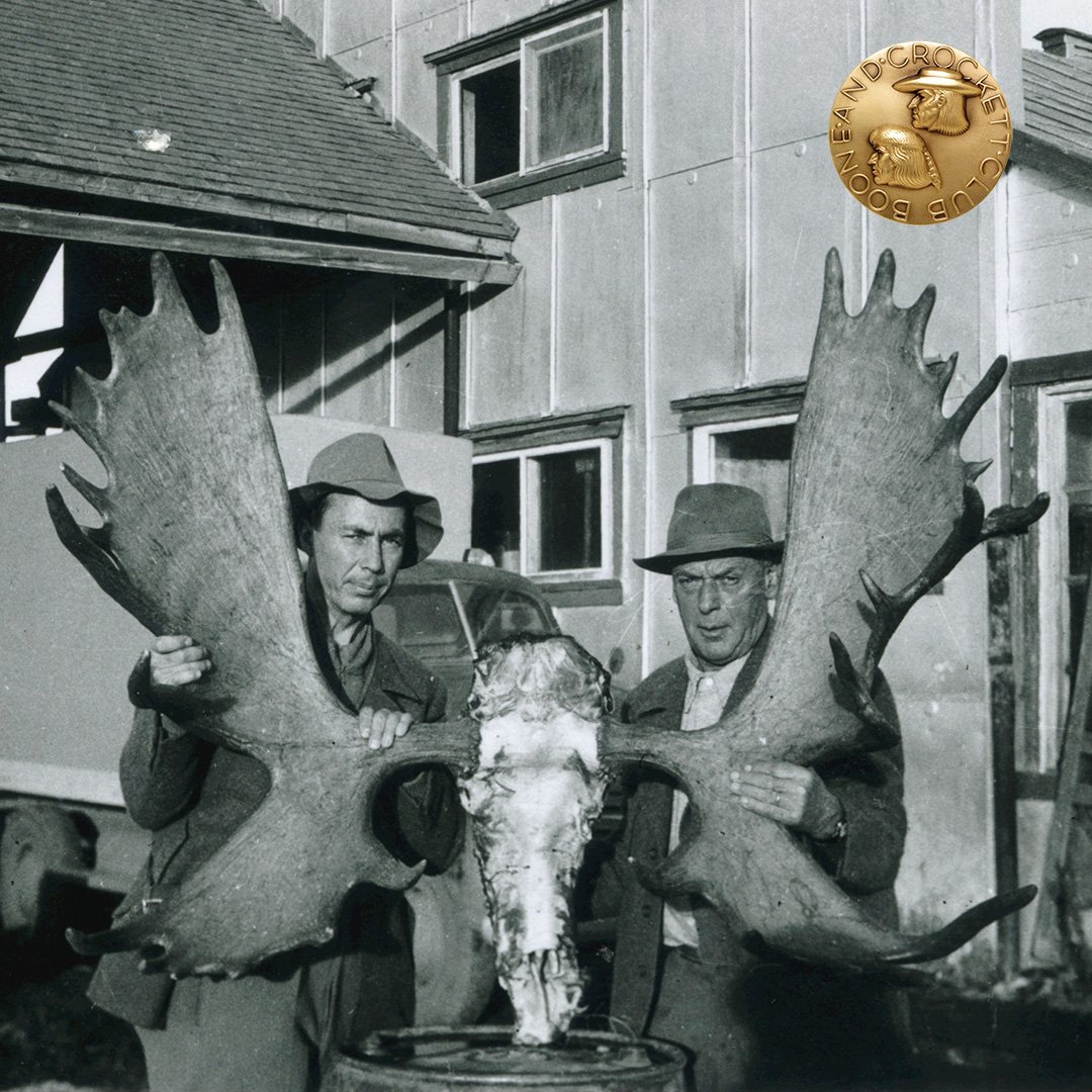 Karl Weber moose