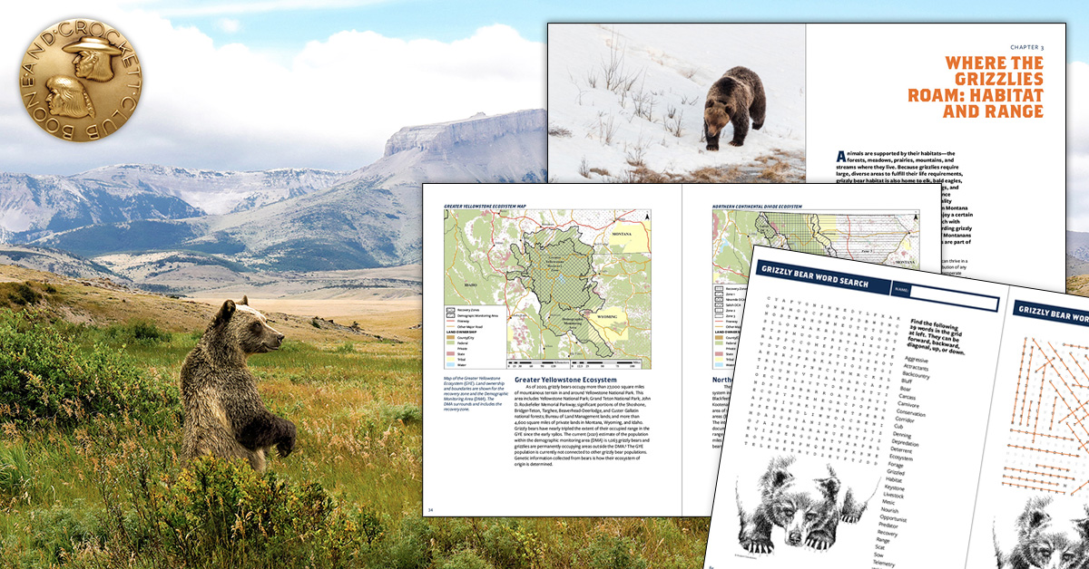 Grizzly bear book