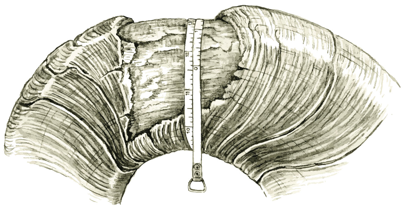 Fig 16-d