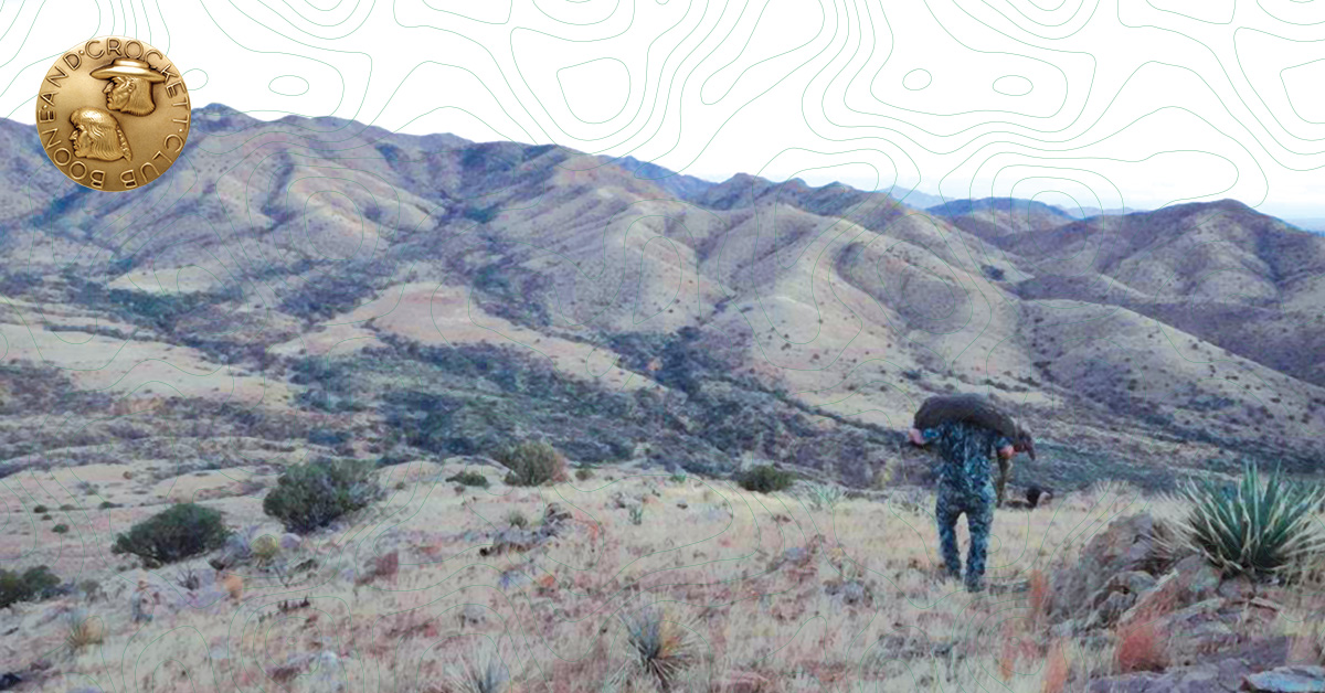 DIY Arizona Coues