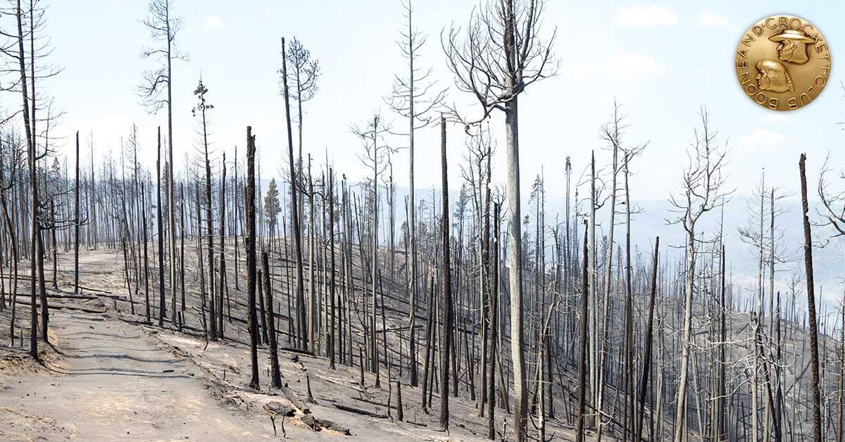 Forest health