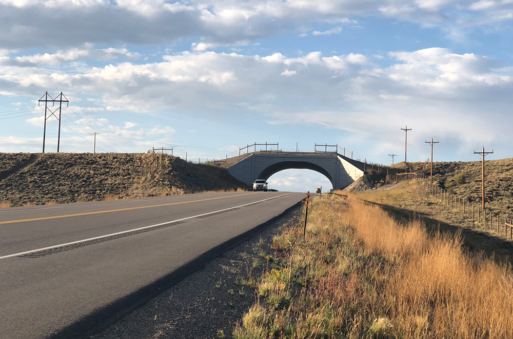 wildlife crossing
