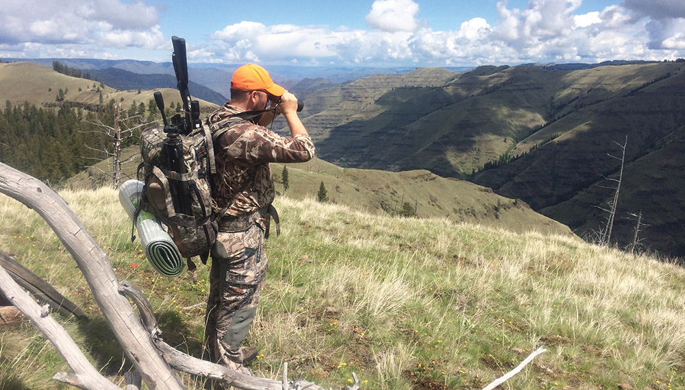 hunter scouting