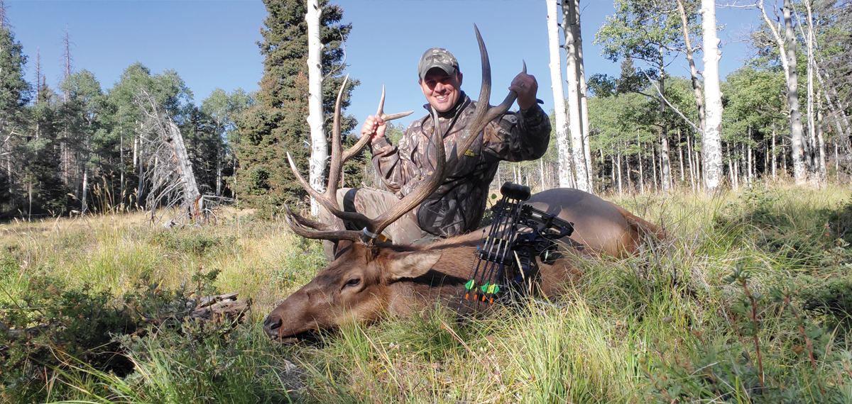 diy_elk_fieldphoto_8.jpg