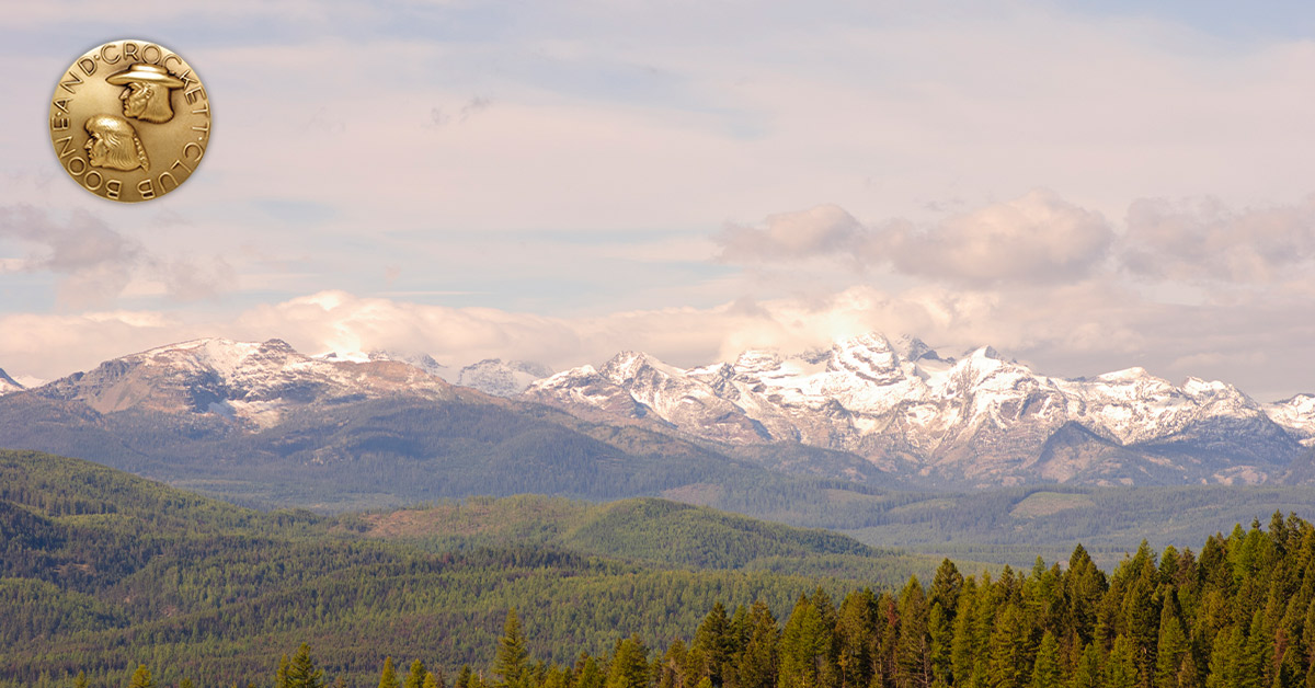 Mission mountains