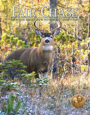 Fair chase spring 2025