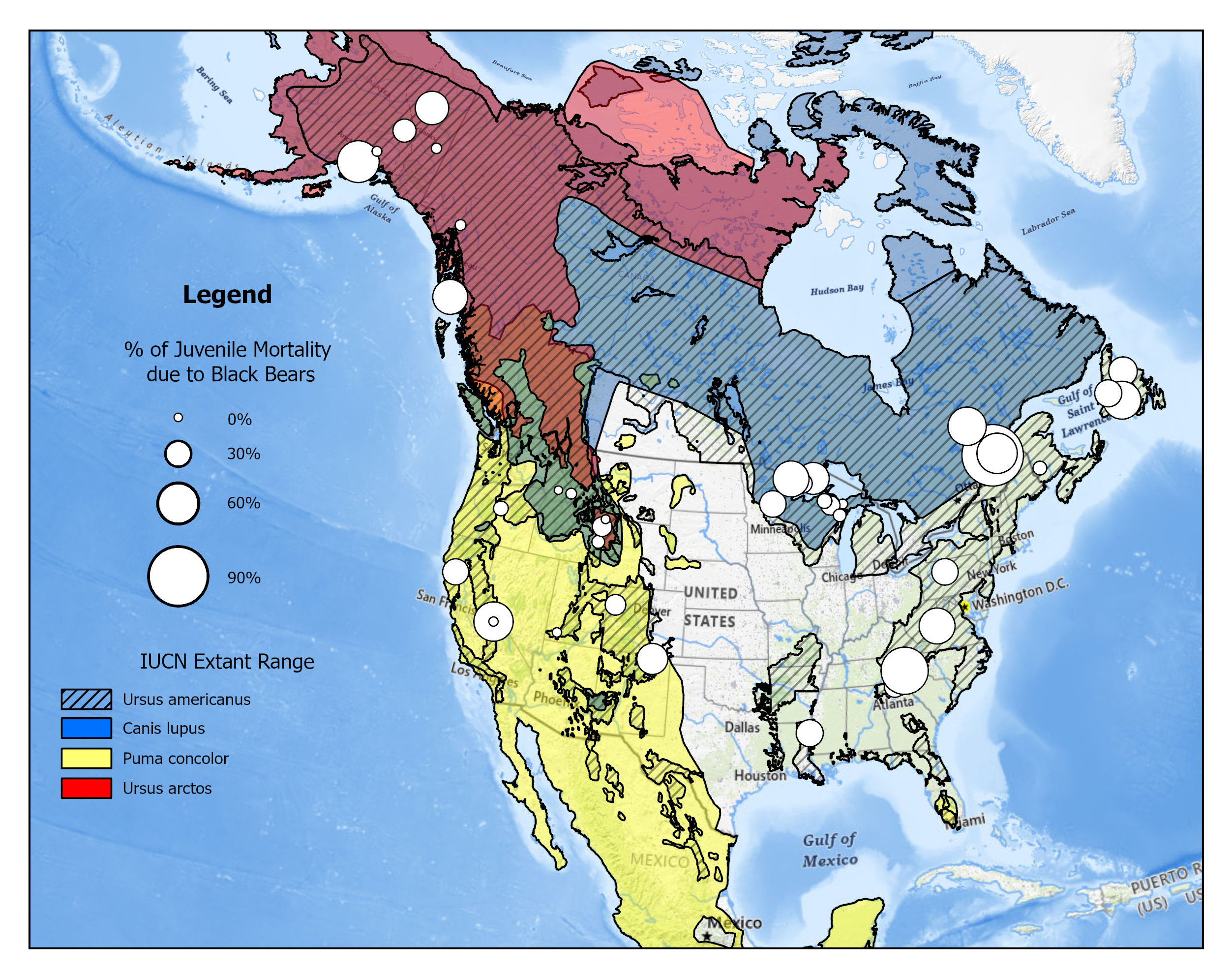 Bear map 