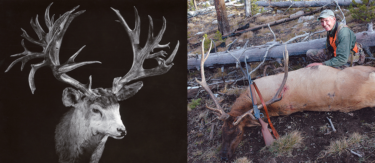 man with elk