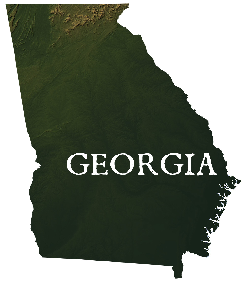 Georgia State Records Map