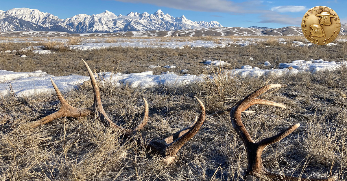 shed hunting regs 