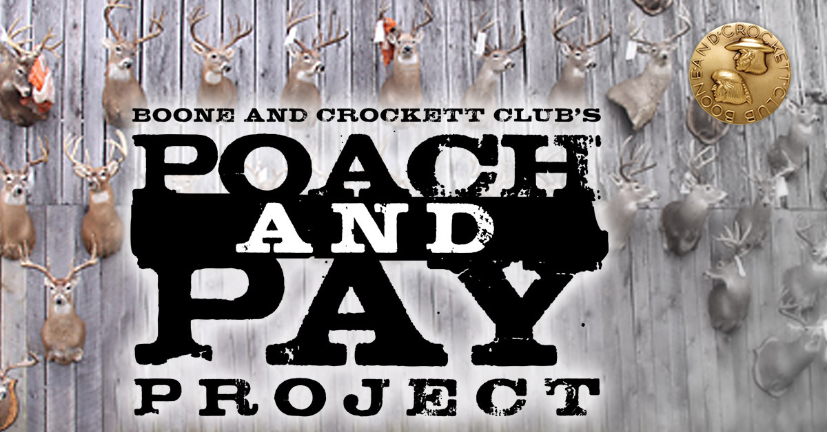 poach and pay logo