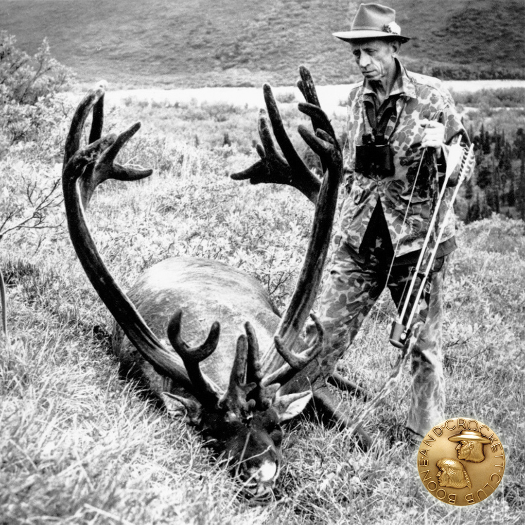 in_the_field_november_1st_half_9_fredbear_19828_1080px_v1.jpg