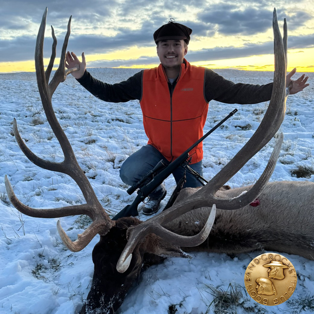 Griffith Elk