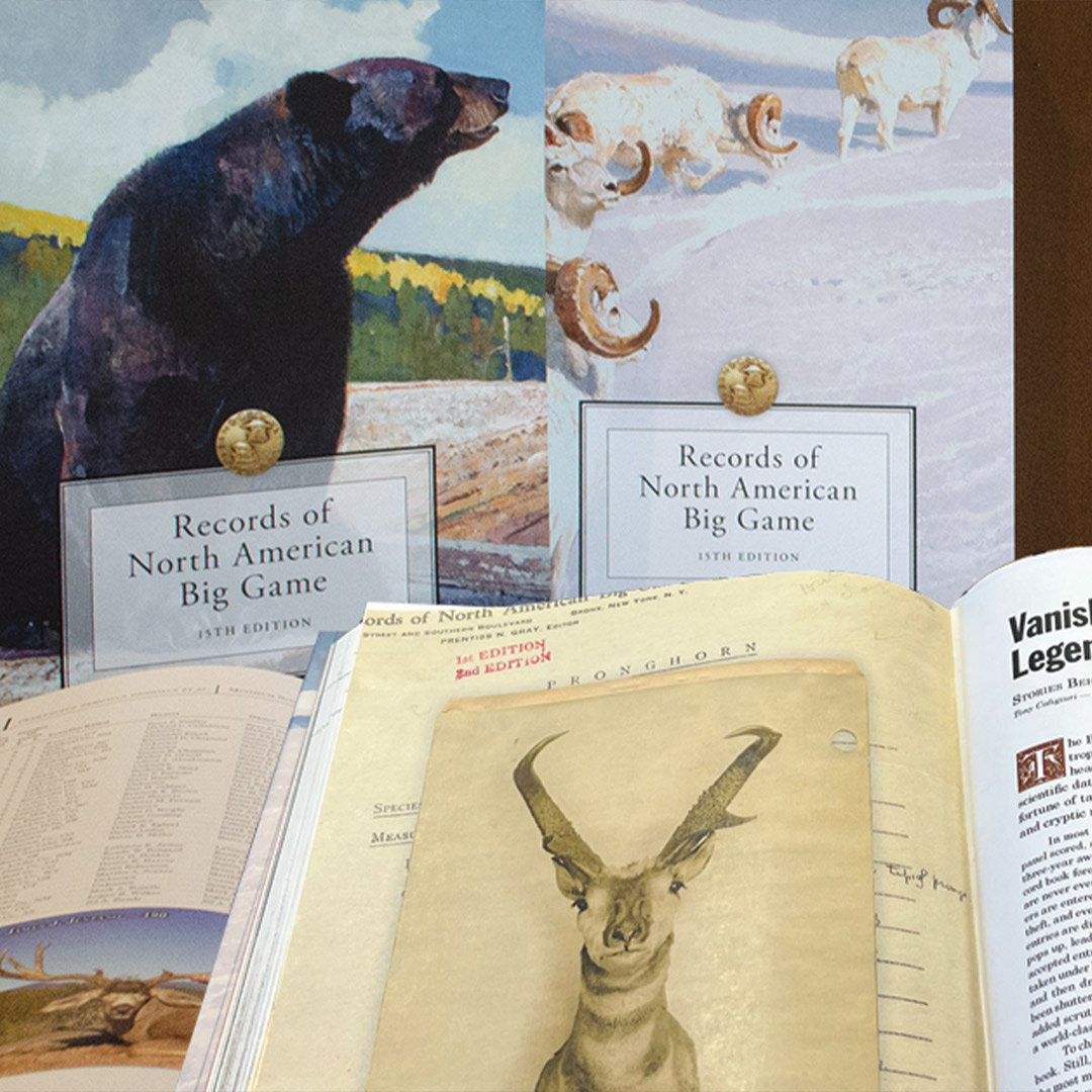 B&C records book