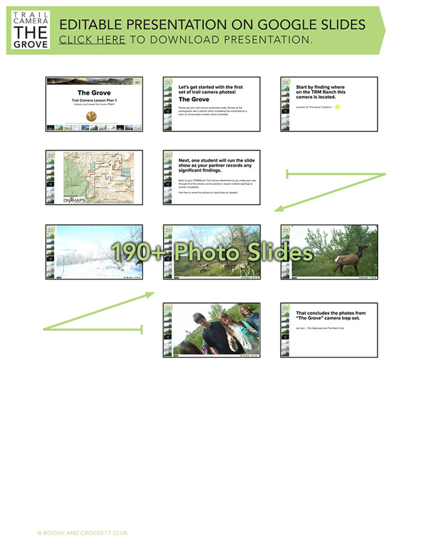 lessonplanthumbnail-grove-1.jpg