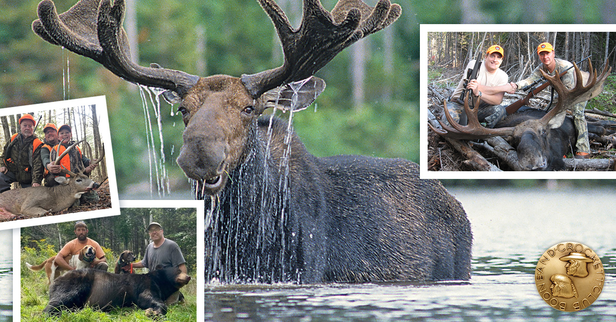 Maine State Big Game Records