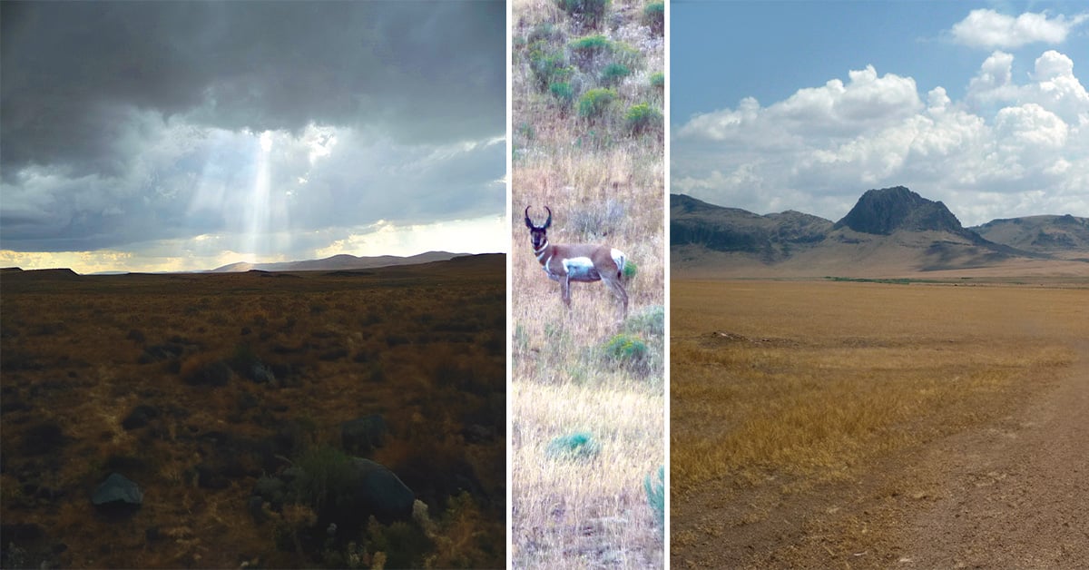 Nevada landscape