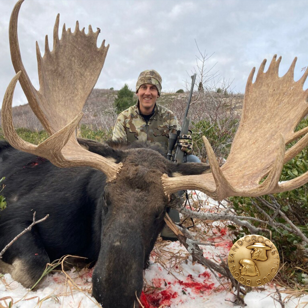 Geary Moose 