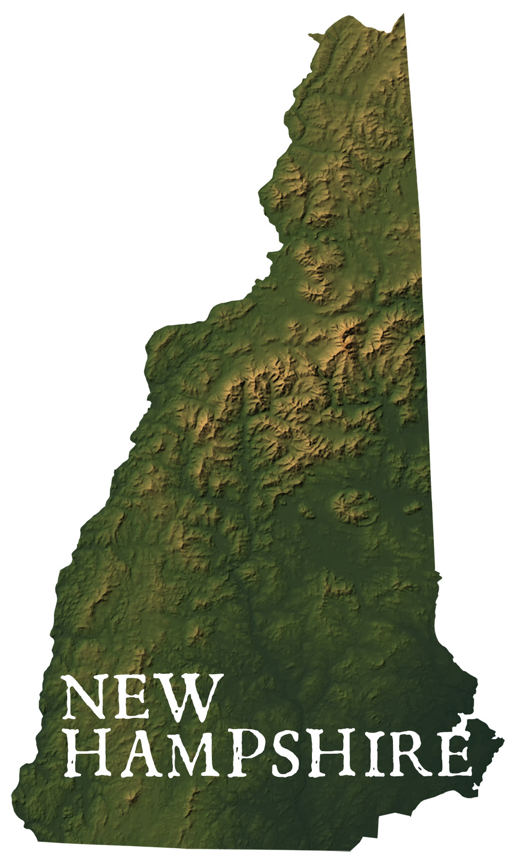 New Hampshire State Records Map