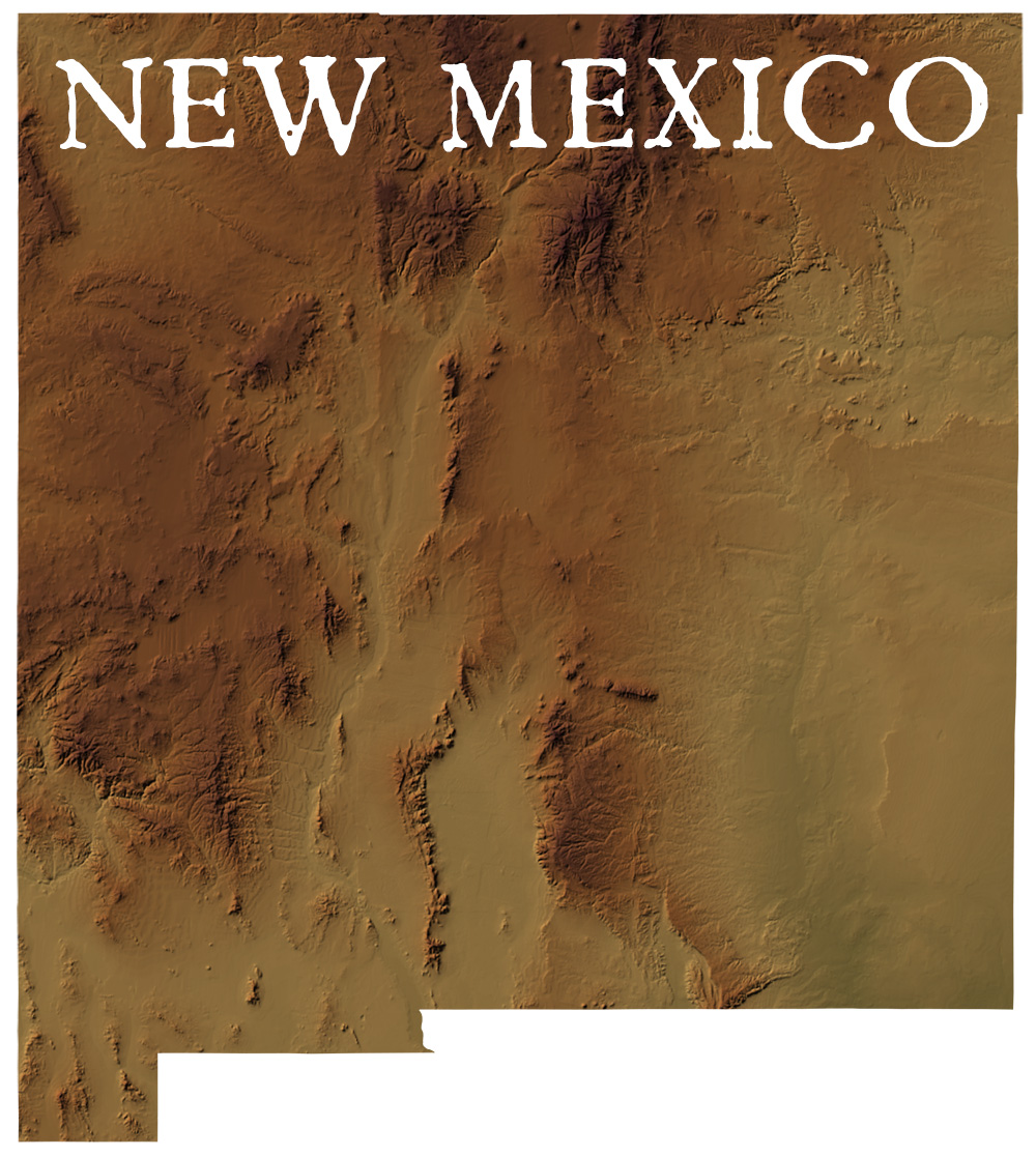New Mexico State Records Map