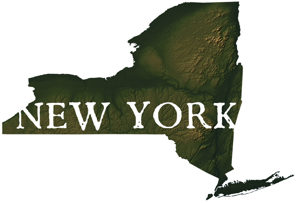 New York State Records Map