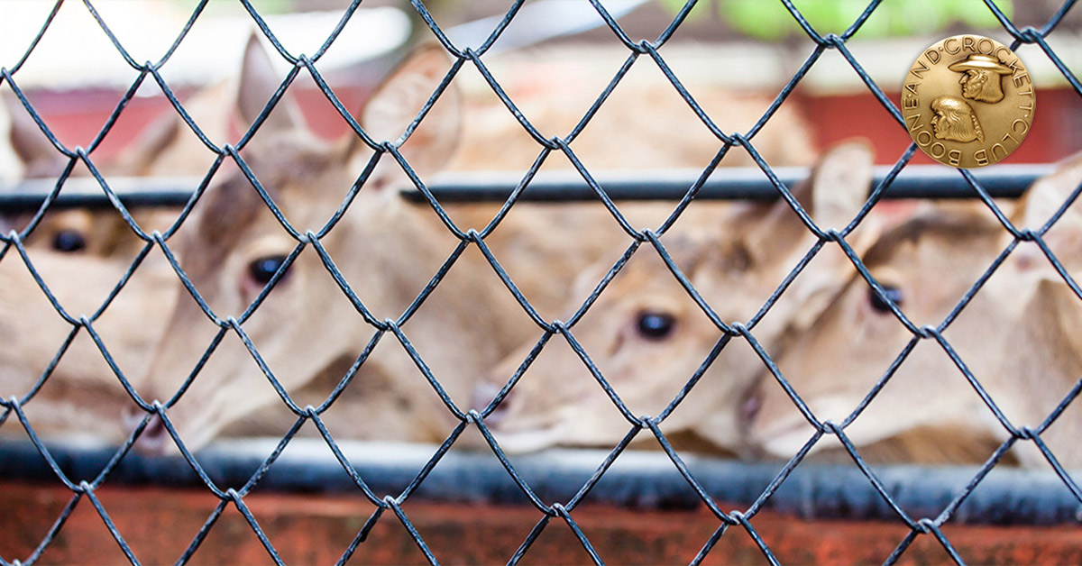 deer in cage