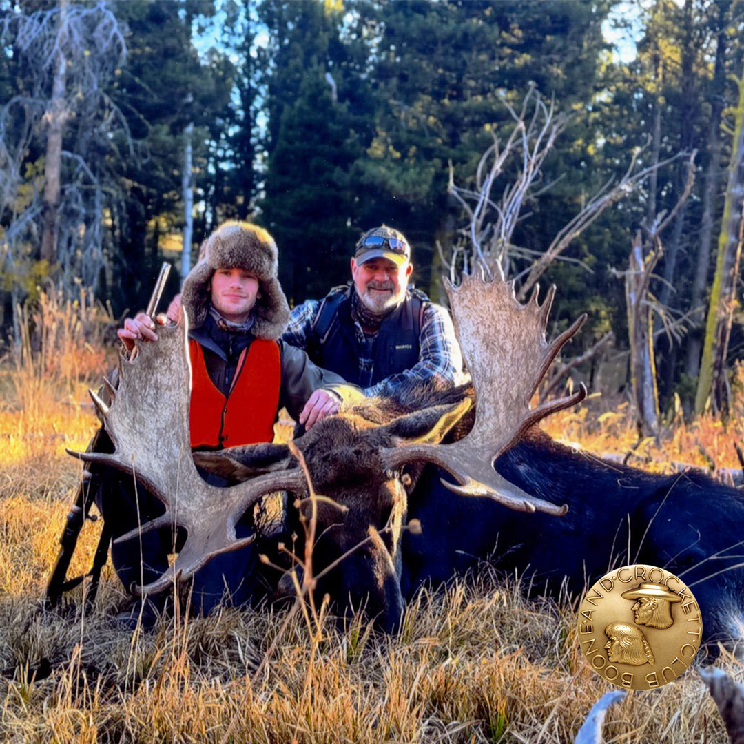 Jackson T. Redmon Shiras' moose