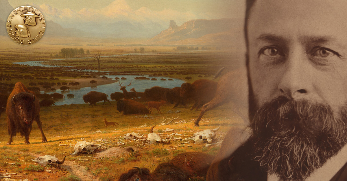 A bierstadt