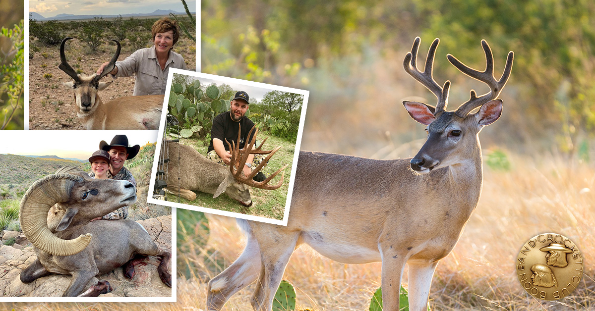 Texas State Record