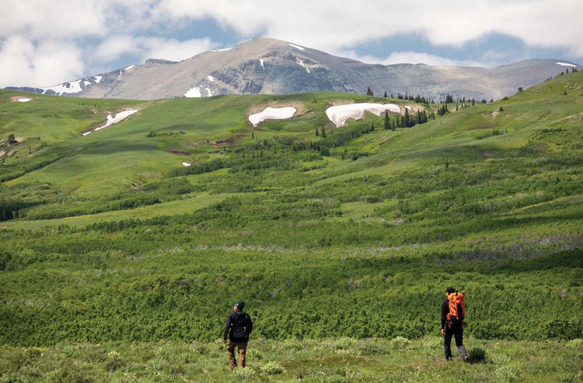 up_hiking_web.jpg