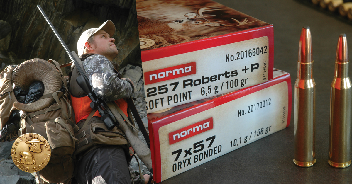 7mm rounds