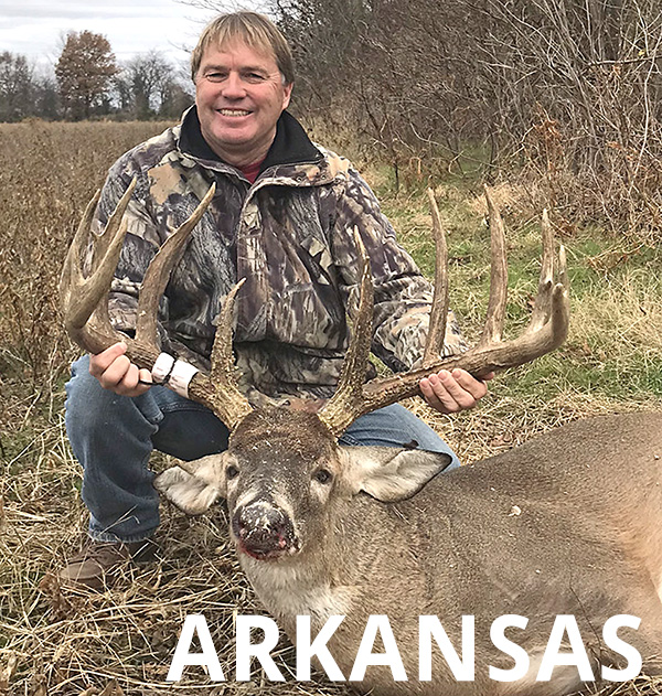 web-10-arkansas.jpg