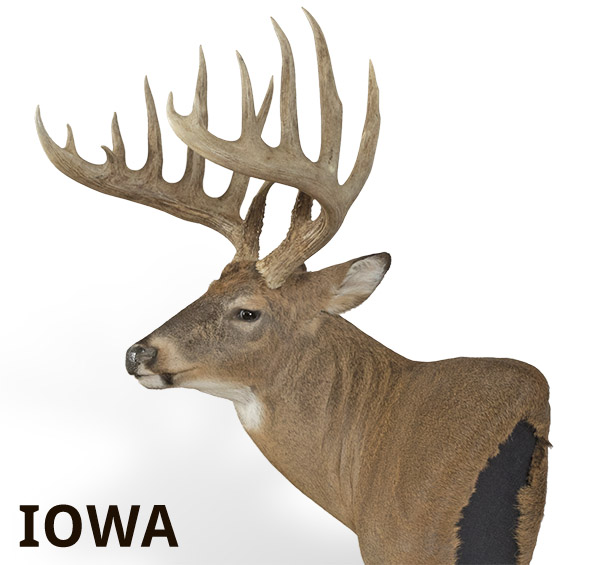 web-3-iowa.jpg