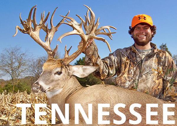 web-bonus-tennessee.jpg