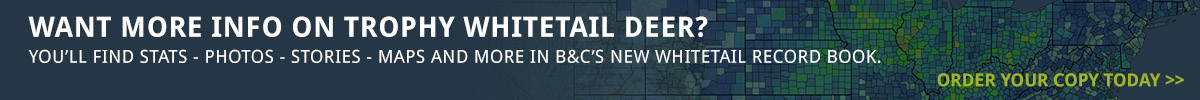 web-stats-banner1.jpg