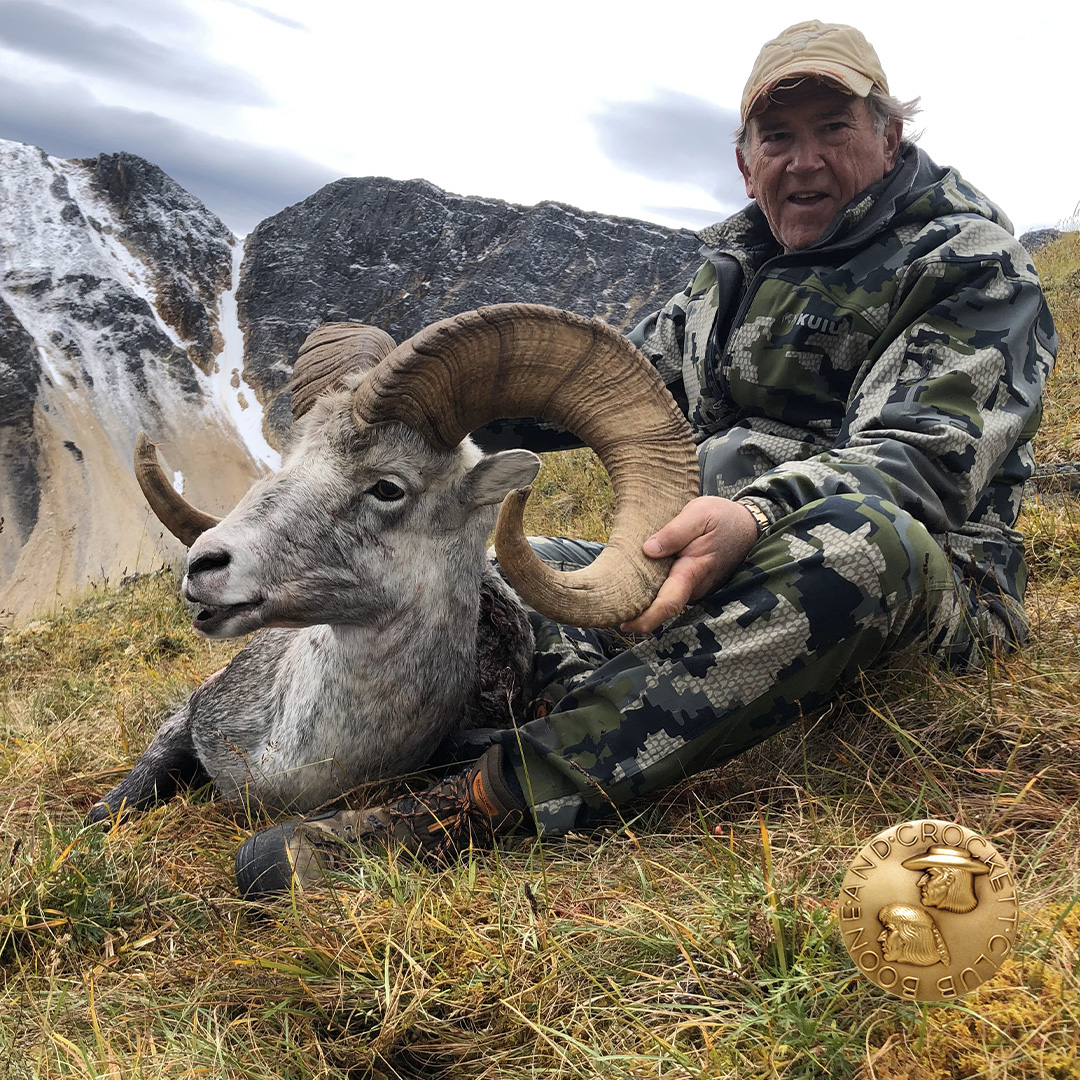 Jesse G. Webster, Jr. stone's sheep