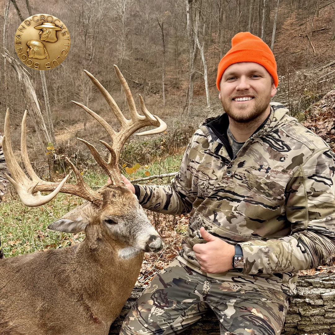 Whitetail
