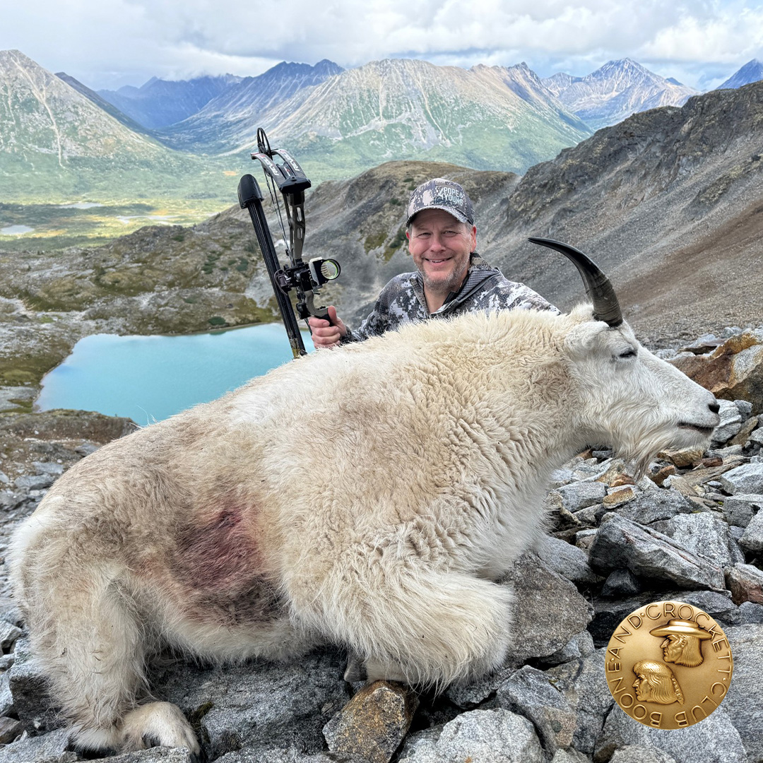 Pettett Goat