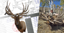 American Elk - Non-typical