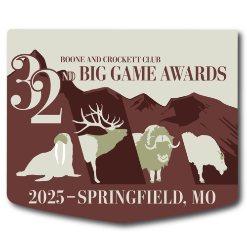 32nd BGA lapel pin