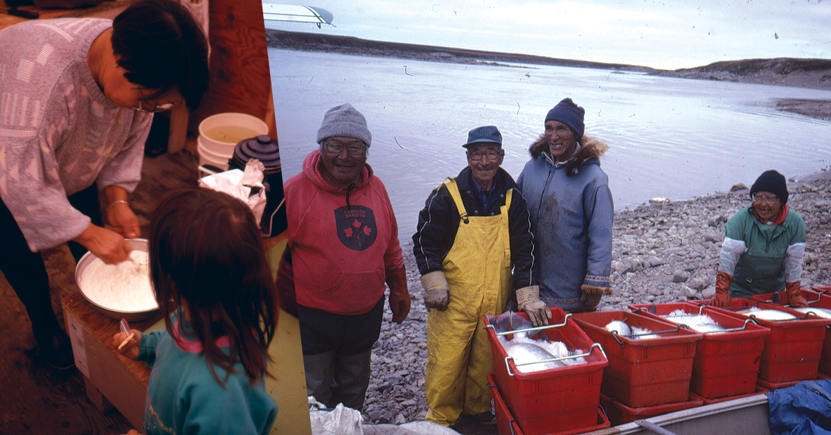 Inuit cooking