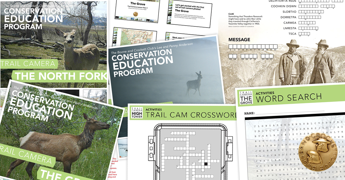 Virtual Lesson Plan
