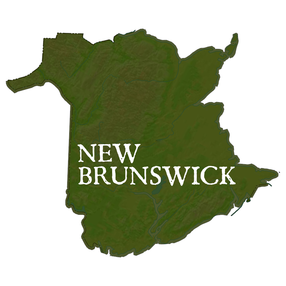 New Brunswick Provincial Records Map