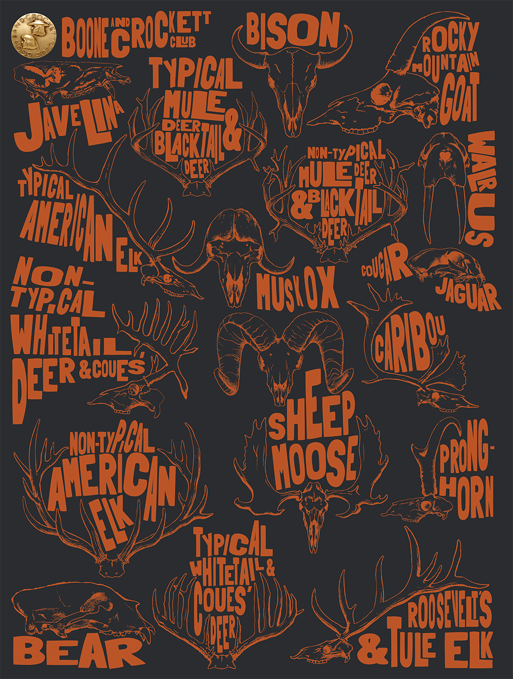 Skull Poster