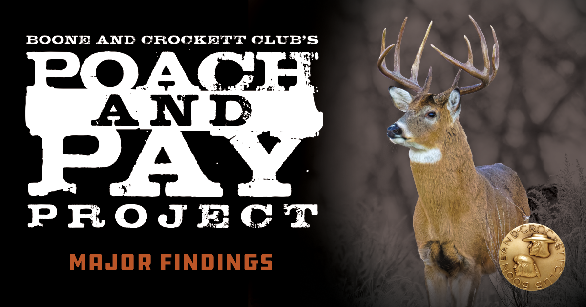 Poach and Pay Major Findings